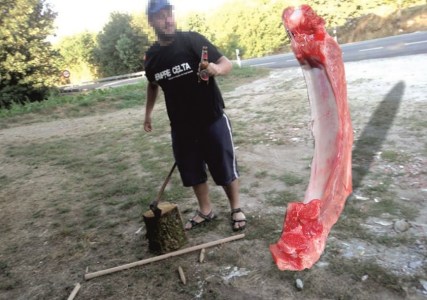 Membro de Carnelao pousando cunha costela de diplodocus