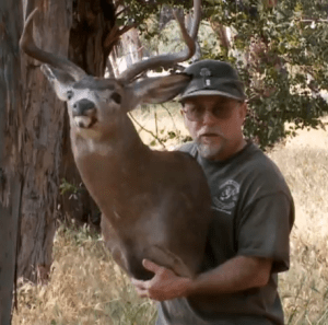 O pesadelo dun inspector de transportes católico