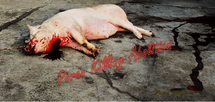 Un dos colantes confiscados.