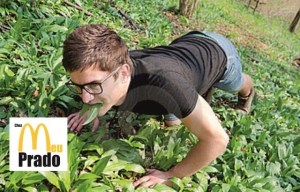 vegano-comendo-herba-prado