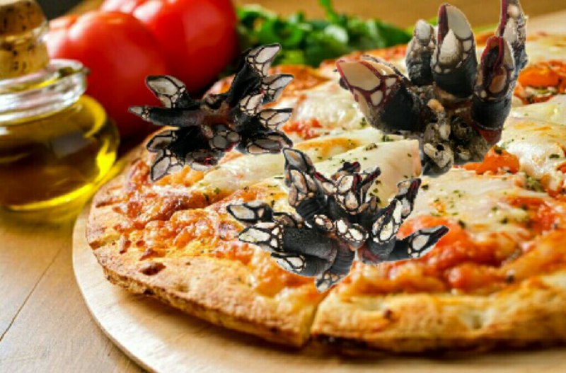 "Extra! Extra! Galipizza saca unha pizza afrodisìaca, a percepizza". 