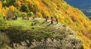 veganos-extensivo-xures