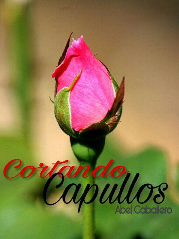 429720290_114217_1928089138759503628